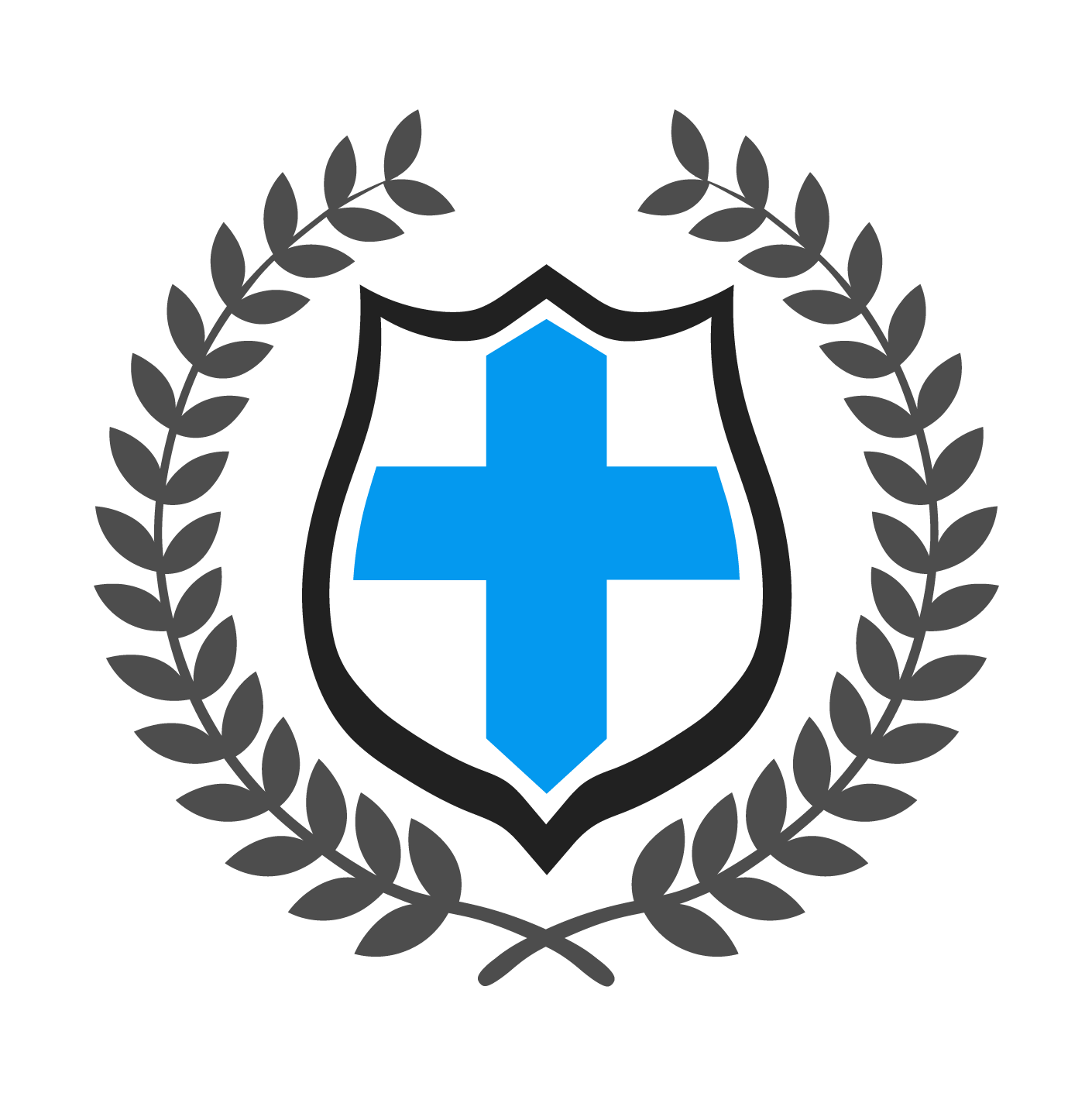 BHSS Logo